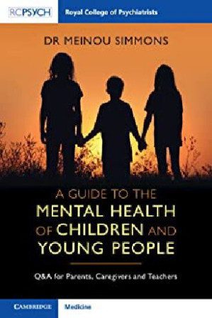 A guide to the mental health of childrend and young people