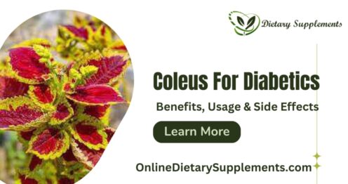 Coleus for Diabetics